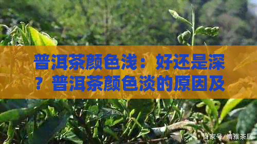 普洱茶颜色浅：好还是深？普洱茶颜色淡的原因及正常范围。