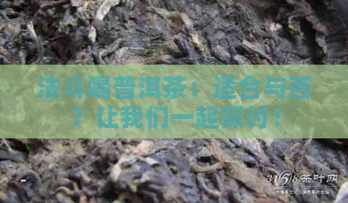 法斗喝普洱茶：适合与否？让我们一起探讨！