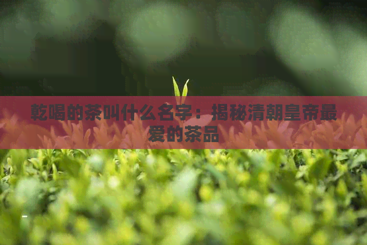 乾喝的茶叫什么名字：揭秘清朝皇帝更爱的茶品