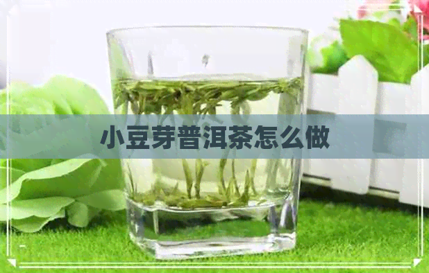 小豆芽普洱茶怎么做