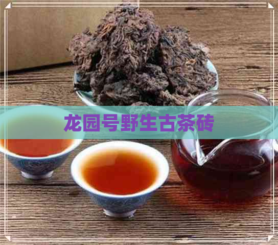 龙园号野生古茶砖