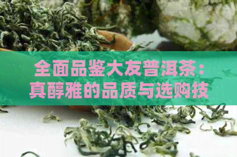 全面品鉴大友普洱茶：真醇雅的品质与选购技巧