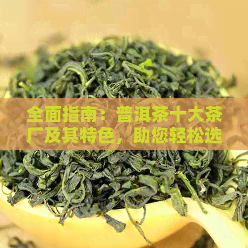 全面指南：普洱茶十大茶厂及其特色，助您轻松选购优质普洱茶