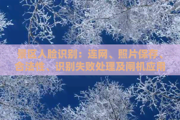 景区人脸识别：连网、照片保存、合法性、识别失败处理及闸机应用解析