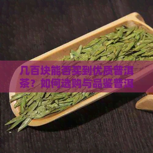 几百块能否买到优质普洱茶？如何选购与品鉴普洱茶？