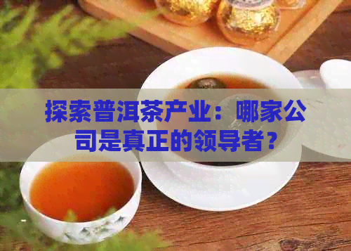 探索普洱茶产业：哪家公司是真正的领导者？