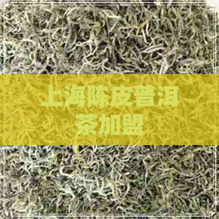 上海陈皮普洱茶加盟