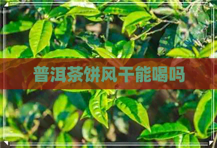 普洱茶饼风干能喝吗