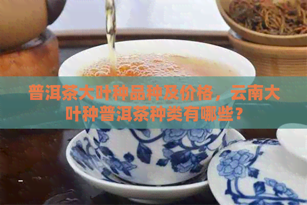 普洱茶大叶种品种及价格，云南大叶种普洱茶种类有哪些？