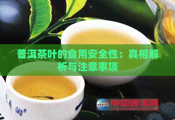 普洱茶叶的食用安全性：真相解析与注意事项