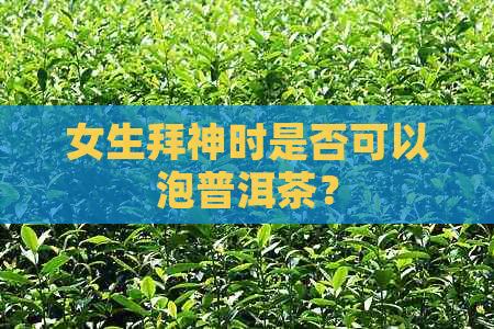 女生拜神时是否可以泡普洱茶？