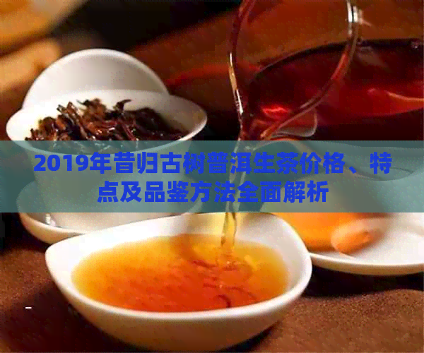 2019年昔归古树普洱生茶价格、特点及品鉴方法全面解析