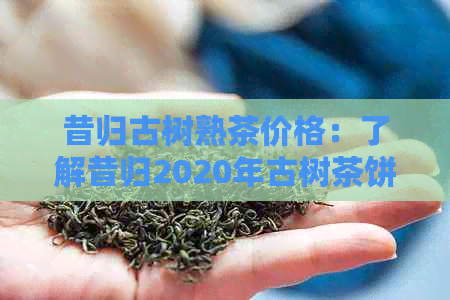 昔归古树熟茶价格：了解昔归2020年古树茶饼的价格与口感特点