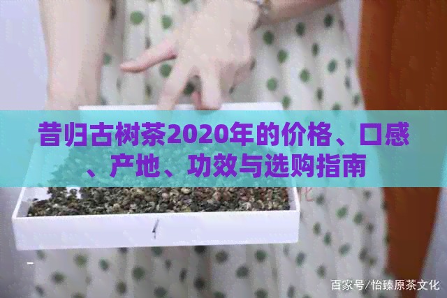 昔归古树茶2020年的价格、口感、产地、功效与选购指南