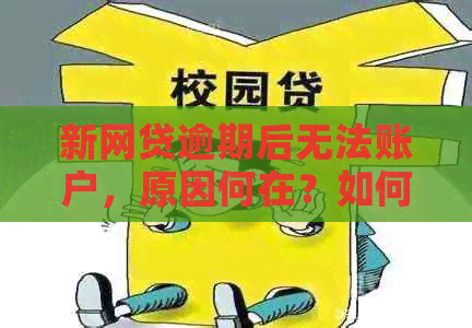 新网贷逾期后无法账户，原因何在？如何解决？