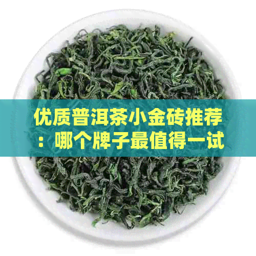 优质普洱茶小金砖推荐：哪个牌子最值得一试？