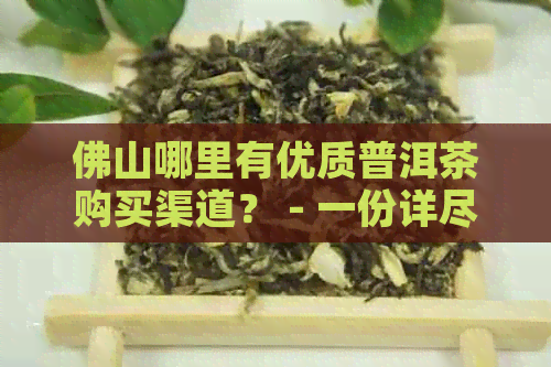 佛山哪里有优质普洱茶购买渠道？ - 一份详尽的购茶指南