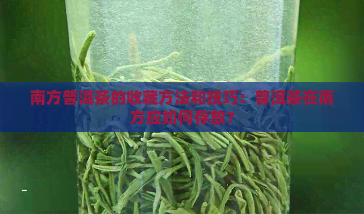 南方普洱茶的收藏方法和技巧：普洱茶在南方应如何存放？