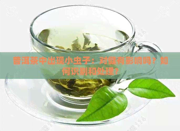 普洱茶中出现小虫子：对健有影响吗？如何识别和处理？