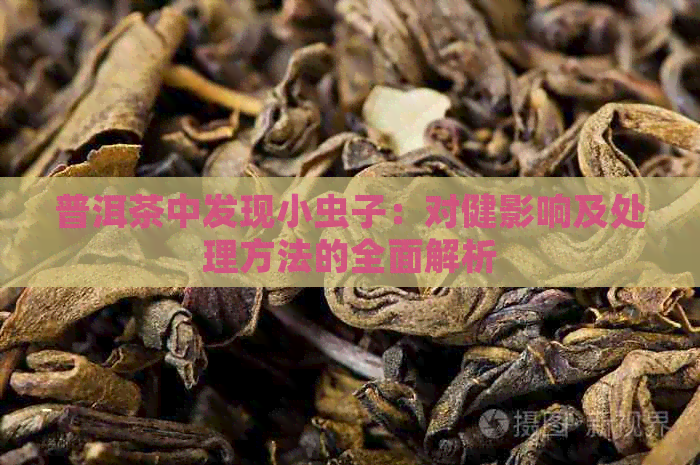 普洱茶中发现小虫子：对健影响及处理方法的全面解析