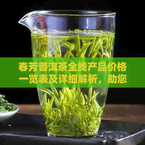 春芳普洱茶全线产品价格一览表及详细解析，助您轻松选购！