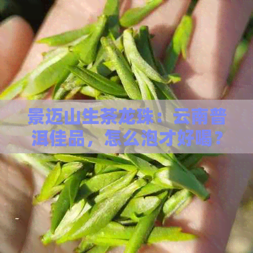 景迈山生茶龙珠：云南普洱佳品，怎么泡才好喝？