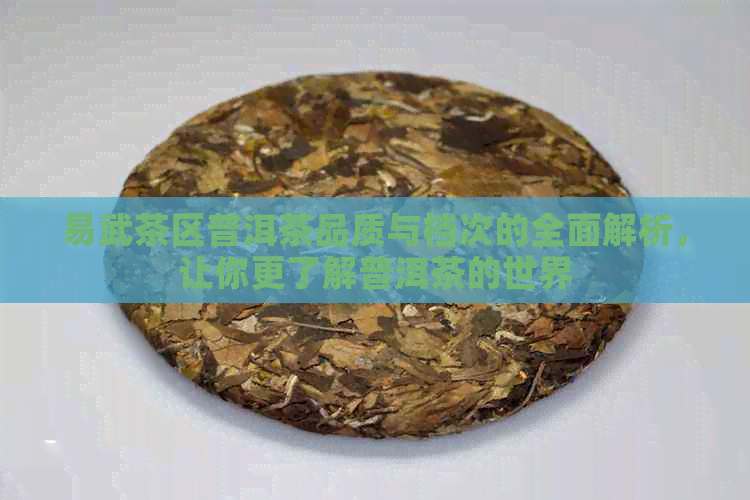 易武茶区普洱茶品质与档次的全面解析，让你更了解普洱茶的世界