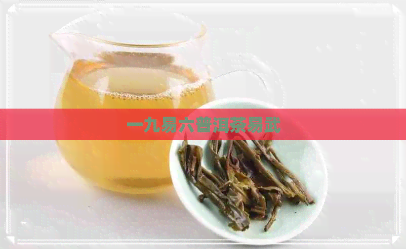 一九易六普洱茶易武