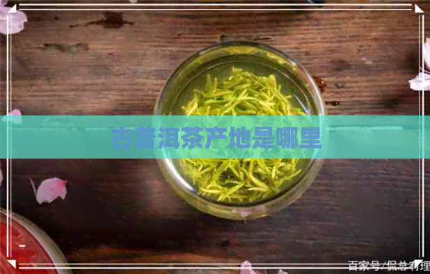 古普洱茶产地是哪里