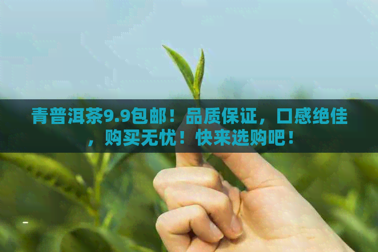 青普洱茶9.9包邮！品质保证，口感绝佳，购买无忧！快来选购吧！