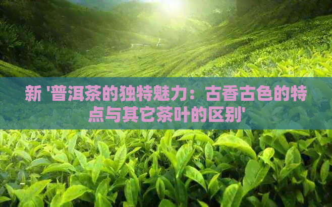 新 '普洱茶的独特魅力：古香古色的特点与其它茶叶的区别'