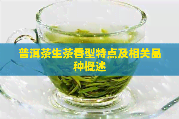 普洱茶生茶香型特点及相关品种概述