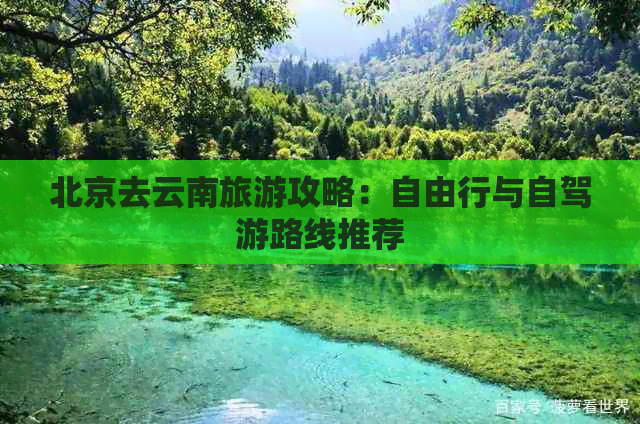 北京去云南旅游攻略：自由行与自驾游路线推荐