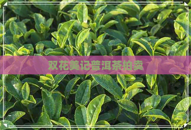 双花美记普洱茶拍卖