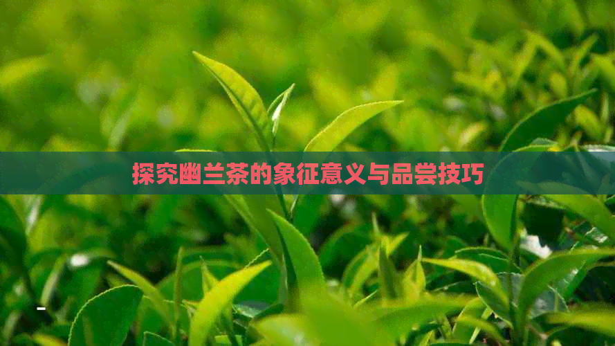 探究幽兰茶的象征意义与品尝技巧