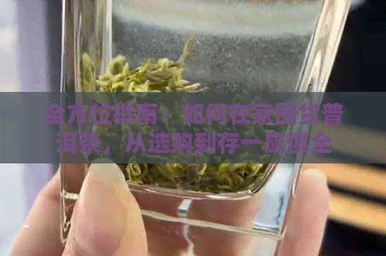 全方位指南：如何在家囤货普洱茶，从选购到存一应俱全