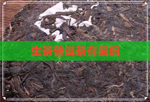 生茶普洱茶有回吗