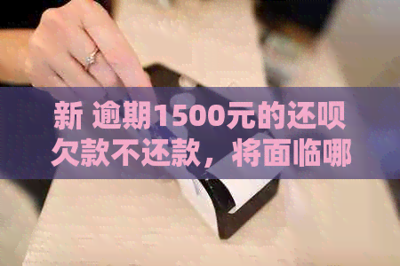 新 逾期1500元的还款欠款不还款，将面临哪些后果与惩罚？