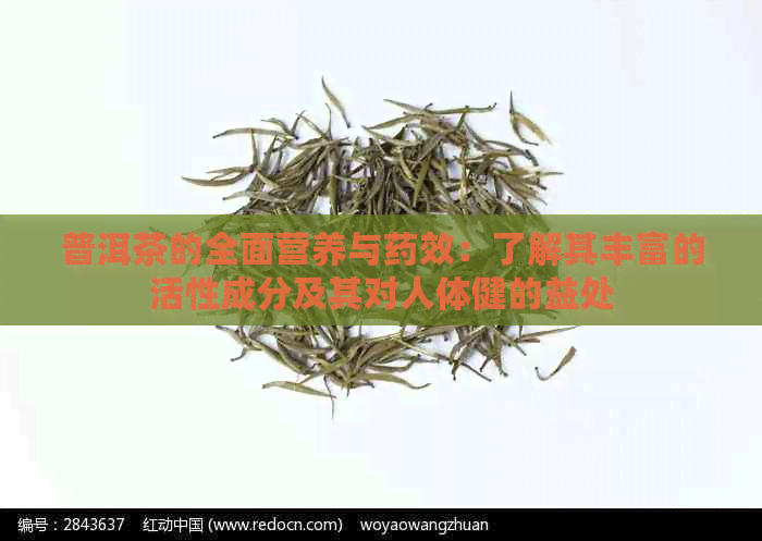 普洱茶的全面营养与药效：了解其丰富的活性成分及其对人体健的益处