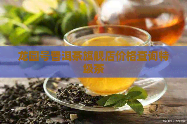 龙园号普洱茶旗舰店价格查询特级茶