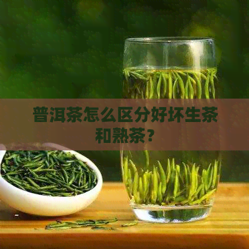 普洱茶怎么区分好坏生茶和熟茶？