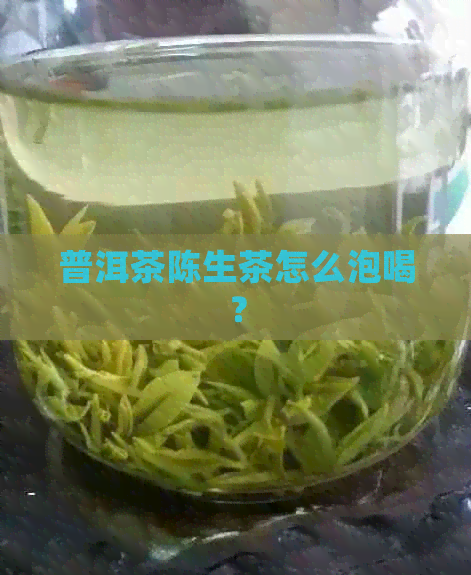 普洱茶陈生茶怎么泡喝？