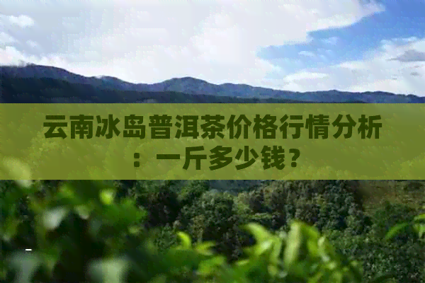 云南冰岛普洱茶价格行情分析：一斤多少钱？