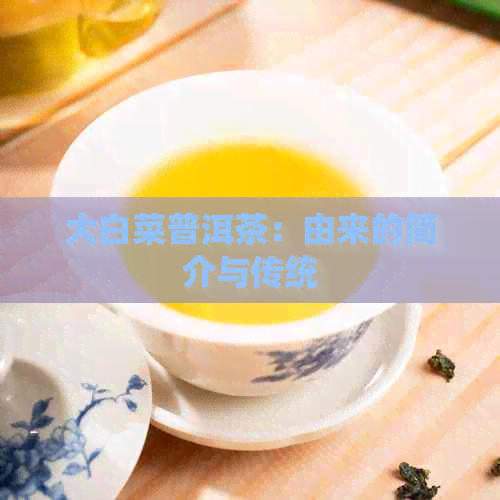 大白菜普洱茶：由来的简介与传统