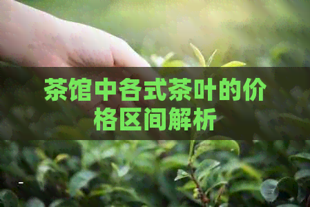 茶馆中各式茶叶的价格区间解析