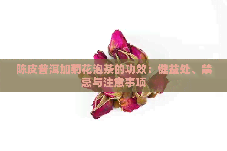 陈皮普洱加菊花泡茶的功效：健益处、禁忌与注意事项