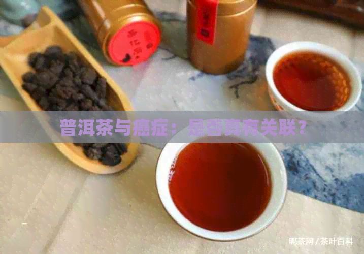 普洱茶与癌症：是否真有关联？