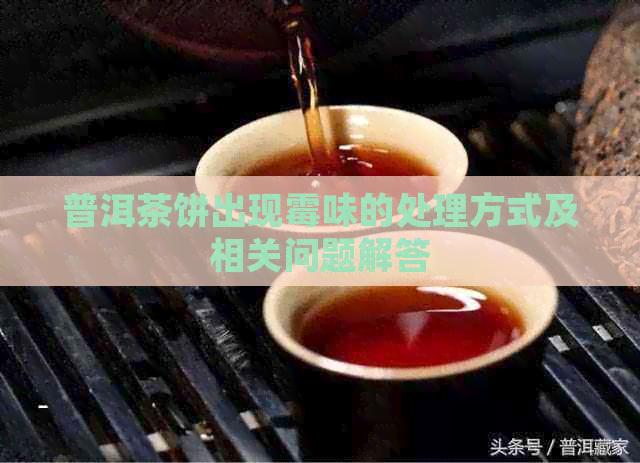 普洱茶饼出现霉味的处理方式及相关问题解答