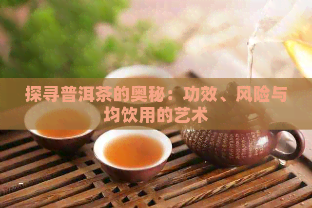 探寻普洱茶的奥秘：功效、风险与均饮用的艺术