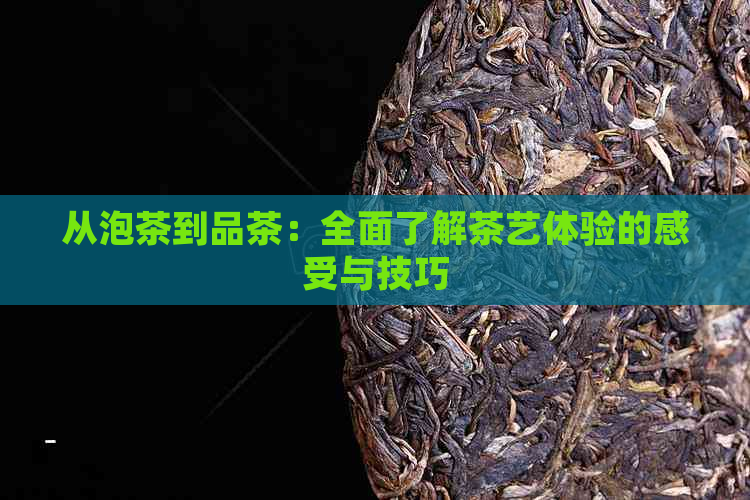 从泡茶到品茶：全面了解茶艺体验的感受与技巧